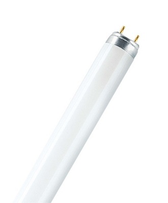 Lámparas Tubo Fluorescente T8 Trifósfora 120cm 36W G13 Frio