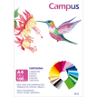 Cartulina Campus A4 180g Ultramar