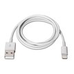  Cable Lightning iPhone a USB 2.0, iPhone Lightning-usb A/m, 2M