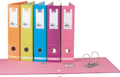 Carpeta de Archivos A4 Rosa  Rayas Exportação Classic Stripes