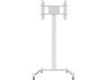 Soportes Tv - Televisión 24 - 63" M Display Stand 180 Single Plata Multibrackets