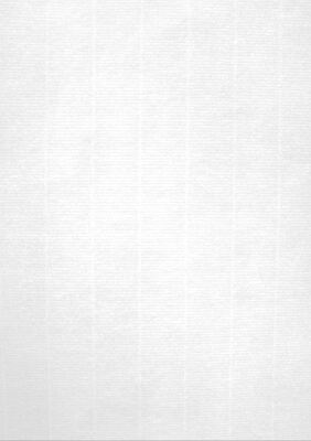 Papel Texturado Blanco 200g 20 Hojas