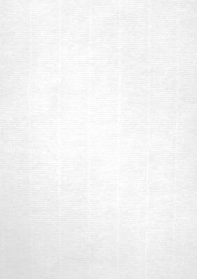 Papel Texturado Blanco 100g 100 Hojas