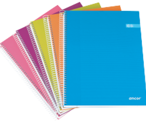 Cuaderno de Tapa Dura  A4  a Cuadros 120fls/70grs Surtido Moda Classic Stripes