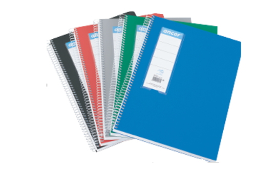 Cuaderno de Tapa Dura  a Cuadros Surtido 120fls/70grs Avalon