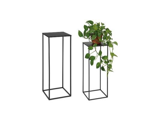  Soported de La Planta