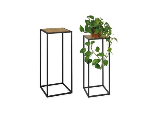  Soporte de La Planta