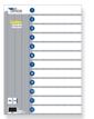 Separadores En Polipropileno A4 6 Hojas Timeoffice